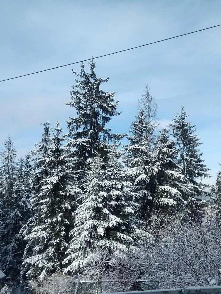 Apartament Cicha Dolinka Zakopane