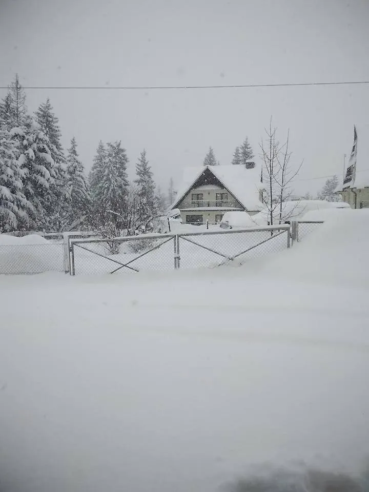 Kwatera prywatna Apartament Cicha Dolinka Zakopane